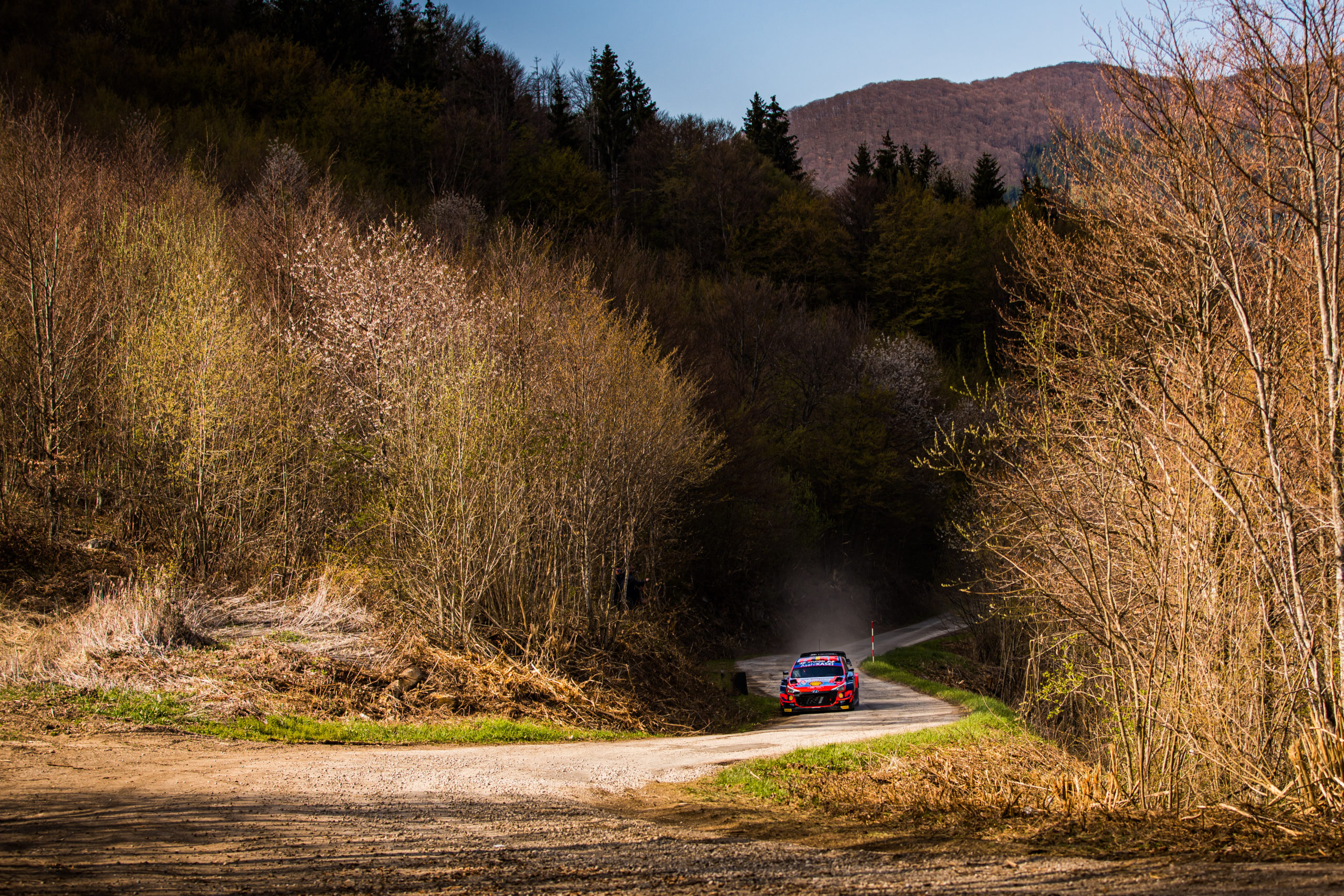 WRC – Neuville leads thrilling battle in Croatia at the end of Day One