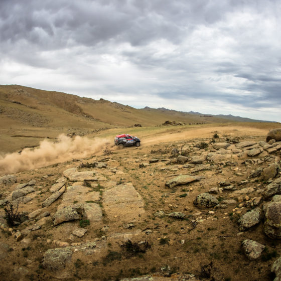 Cross-Country – Marathon adventure for the cross-country contenders