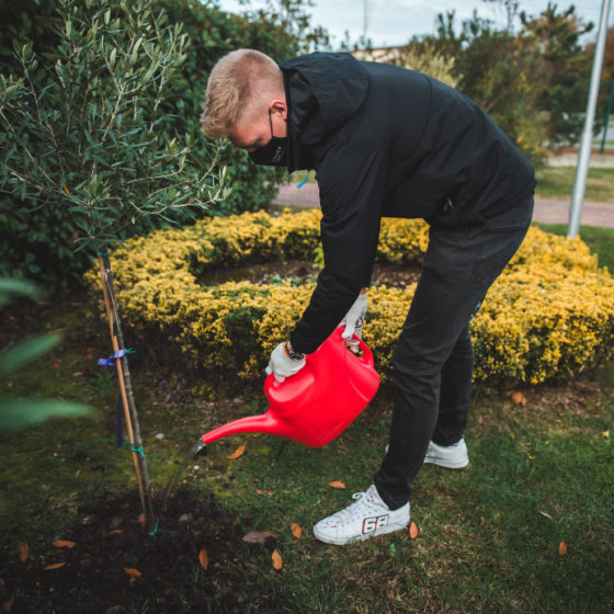 WTCR: title contender Ehrlacher goes tree planting in Russia