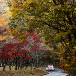 WRC – Evans on top at Rally Japan as battle intensifies