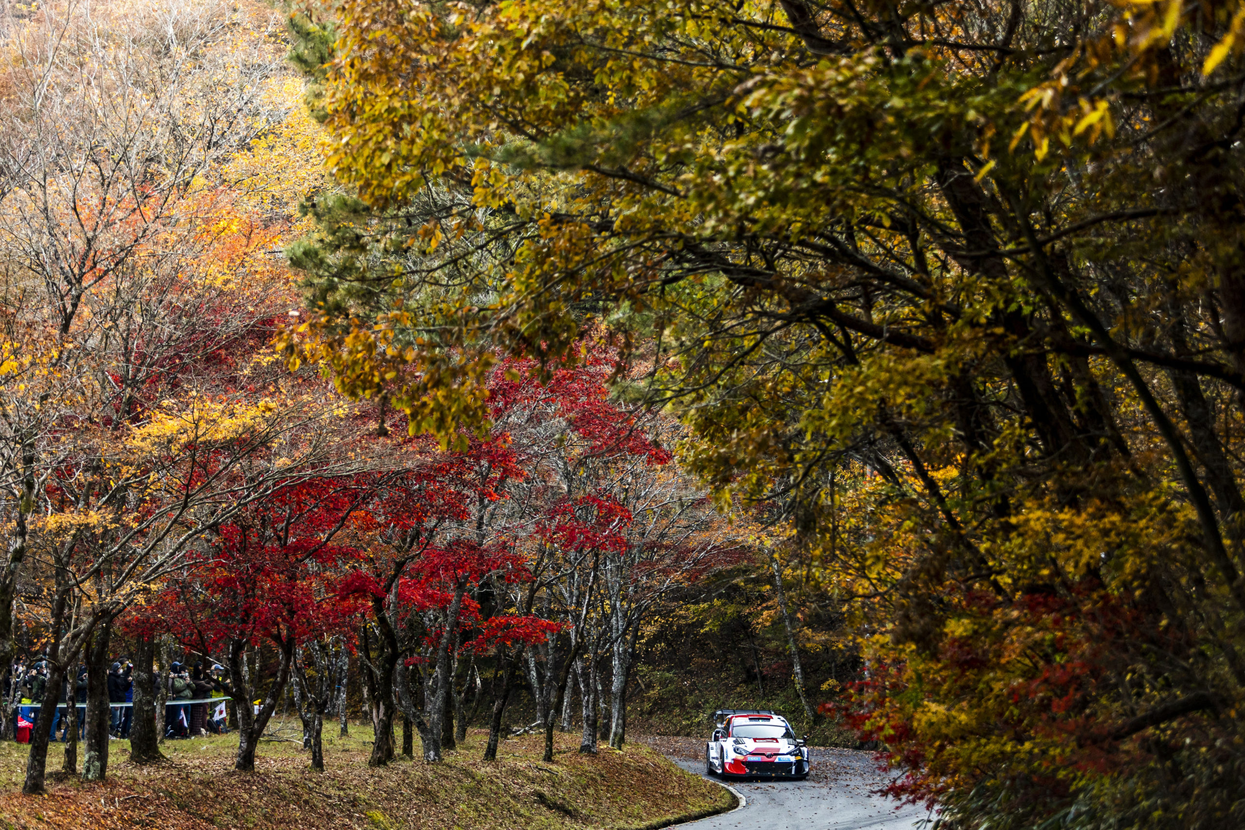 WRC – Evans on top at Rally Japan as battle intensifies