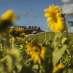 WRC – Neuville leads, Rovanperä closes on WRC title