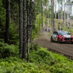 2024 FIA Regional Rally calendars approved by the World Motor Sport Council