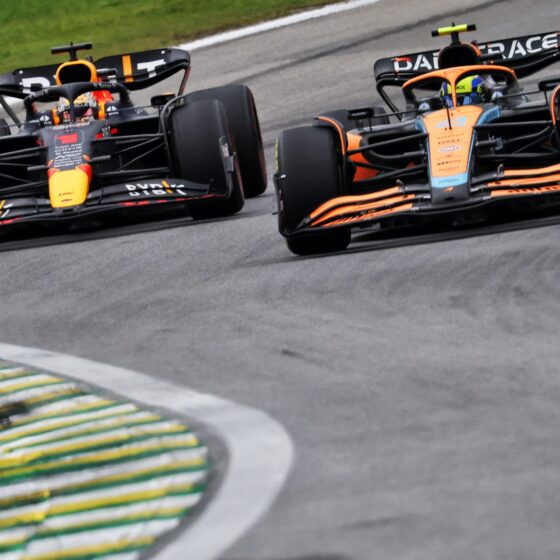 Verstappen understands Norris’ decision to reject Red Bull chance