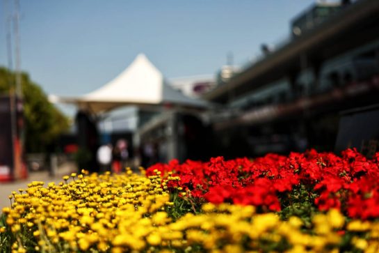 Paddock atmosphere.
18.04.2024. Formula 1 World Championship, Rd 5, Chinese Grand Prix, Shanghai, China, Preparation Day.
- www.xpbimages.com, EMail: requests@xpbimages.com &copy; Copyright: Rew / XPB Images