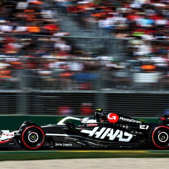 Haas countersues Steiner for trademark infringements