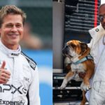 Brad Pitt Appears to Solve Lewis Hamilton’s Biggest Pet Peeve as New Images Surface