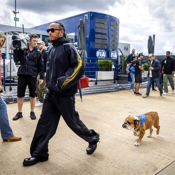 Lewis Hamilton Ruins Roscoe’s “Beauty Sleep” Amidst Father’s Day Bonding