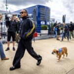 Lewis Hamilton’s ‘Furry Friend’ Roscoe Makes Glamorous Beverly Hills Appearance After Canadian GP