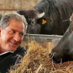 Ferrari called upon to rescue F1 legend from Italian roadblock