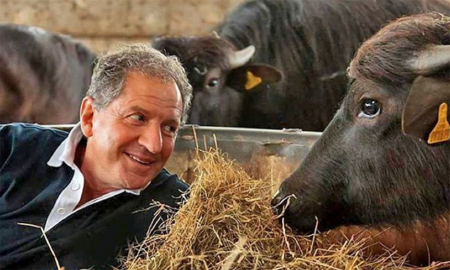 Ferrari called upon to rescue F1 legend from Italian roadblock