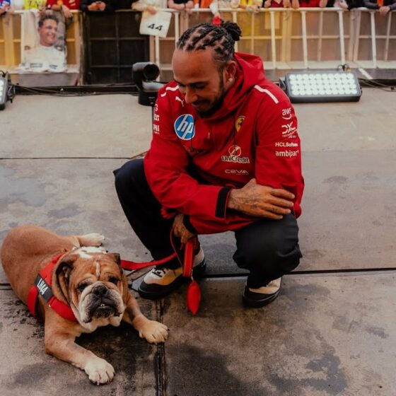 Hamilton pulls out of Pirelli test amid Roscoe’s health battle