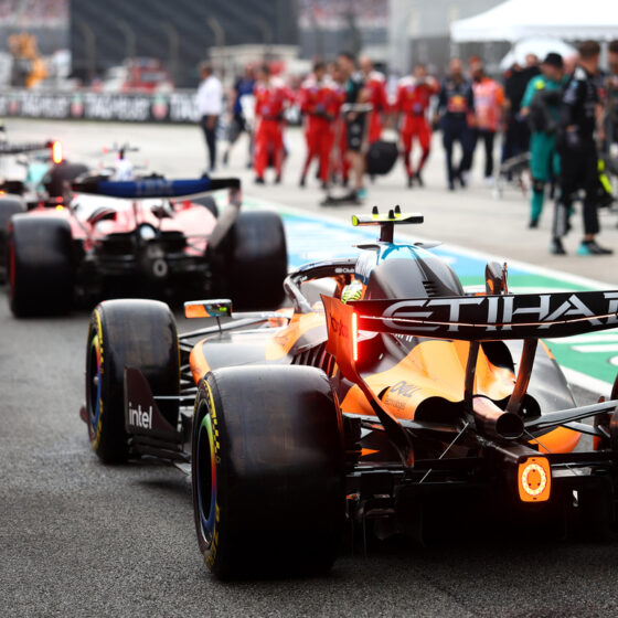 Brundle says FIA decision to reset Bahrain GP grid ‘smart and fair’